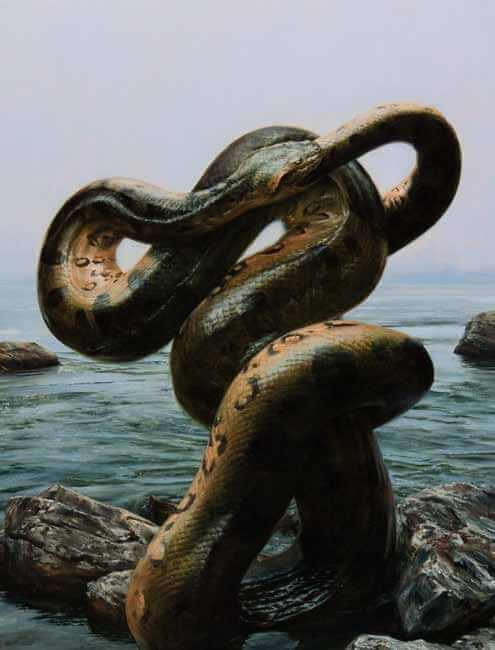 Dark Waters/Grateful Daughters