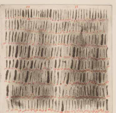 INTERSECTION OF SCALE: NEW PERSPECTIVES AT THE WHEELER SCHOOL