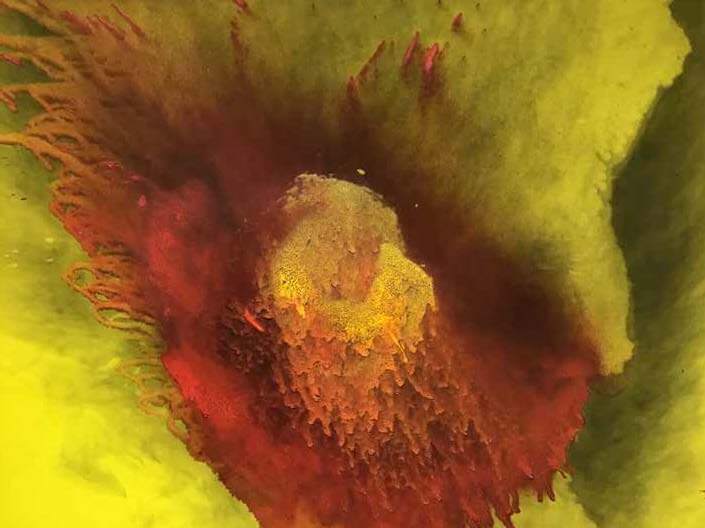 LOCAL CONNECTIONS: PIENE’S ETERNAL FIRE LIGHTS UP FITCHBURG