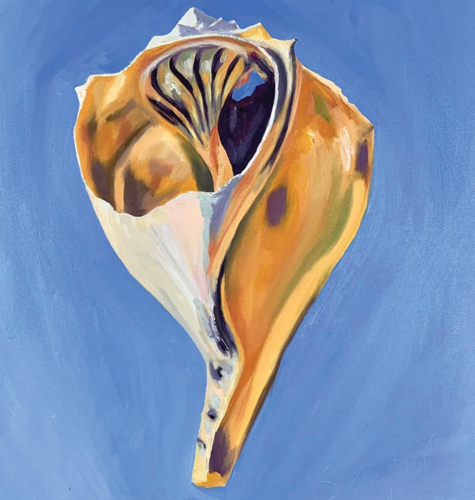 RE-PIECING THE SHELL: DARWIN “BROKEN, BUT NOT BAD” AT REGIS