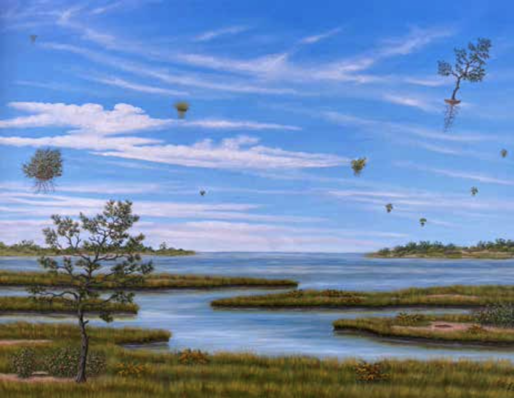 A SKEPTICAL CELEBRATION