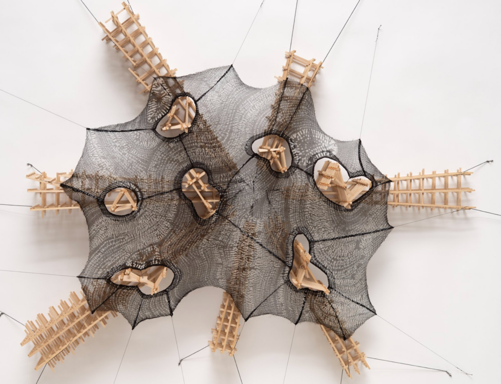 TETHERED TO THE GRID: CHAZAN HOSTS MO KELMAN’S MICROSCOPIC “WATER WAYS”